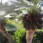 By Interhome