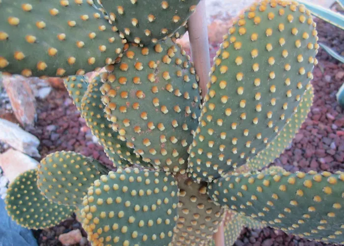 Mit Wasserblick By Interhome Апартаменты