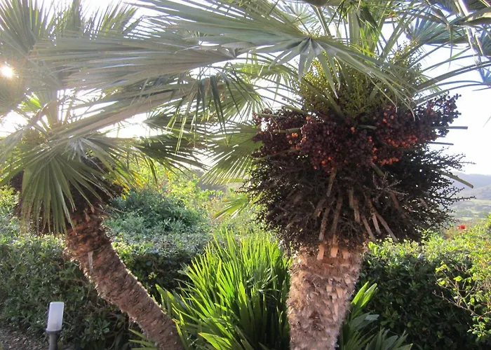 Mit Wasserblick By Interhome