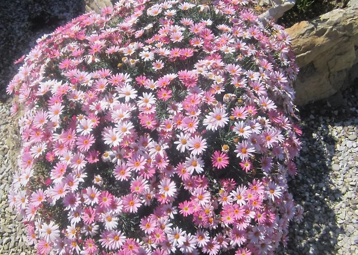 Mit Wasserblick By Interhome Апартаменты Каполивери