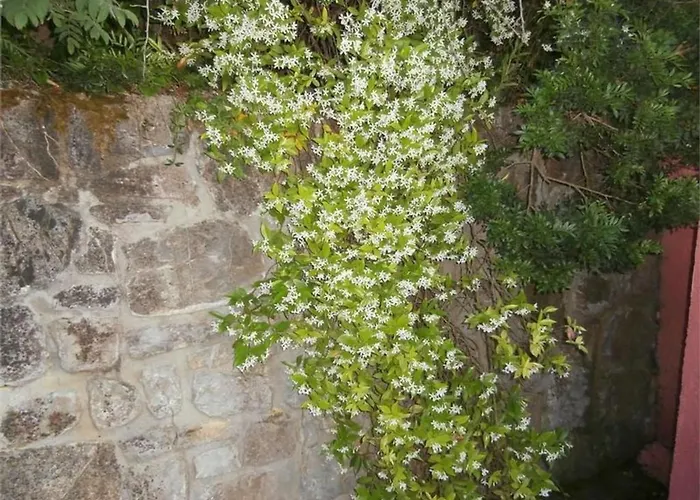 Mit Wasserblick By Interhome *