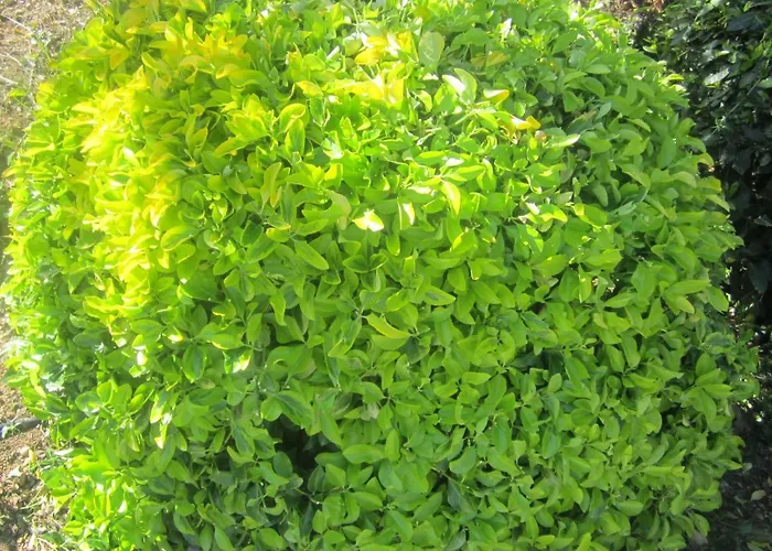 Appartamento Mit Wasserblick By Interhome *