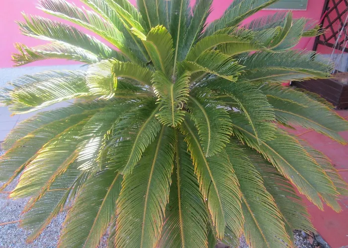 Apartman Mit Wasserblick By Interhome *