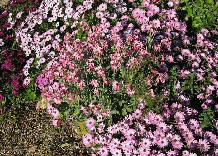 Appartamento Mit Wasserblick By Interhome